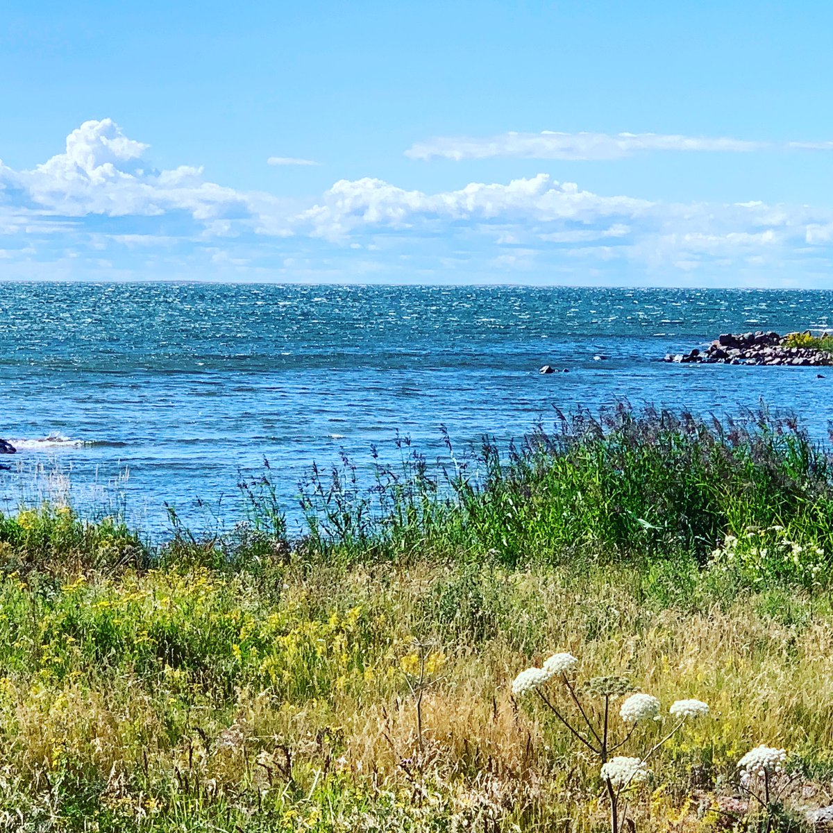 jschoultz's tweet image. I have to admit that Finland’s nature is unique and beautiful...