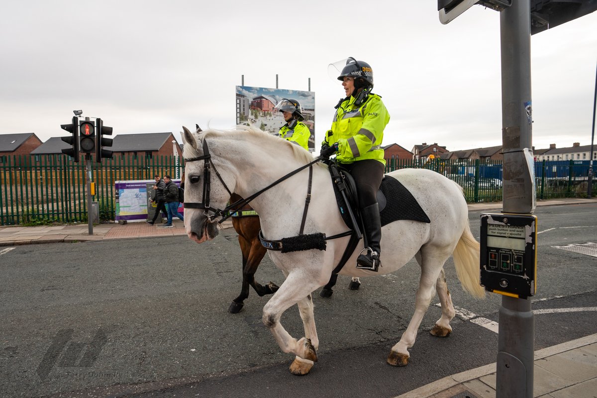Our #standtall #policehorses #phoxberry #phbeau #phsilver #phjake patrolling and protecting outside #Anfield  during @premierleague @LFC v @ChelseaFC 
RIP #phelvis @MerPolMounted @MerseyMounty  #LFCchampions @MerseyPolice @merseymountedpc 
@SonyUK #A9 #A9ii #alphapro #sonyalpha