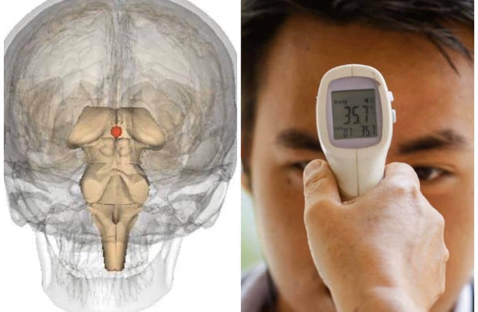 I found it suspicious that the infrared forehead temperature scanners check the exact point as the pineal gland.. so I did some digging into exactly what this “3rd eye” is that I’ve dodged researching.See thread 
