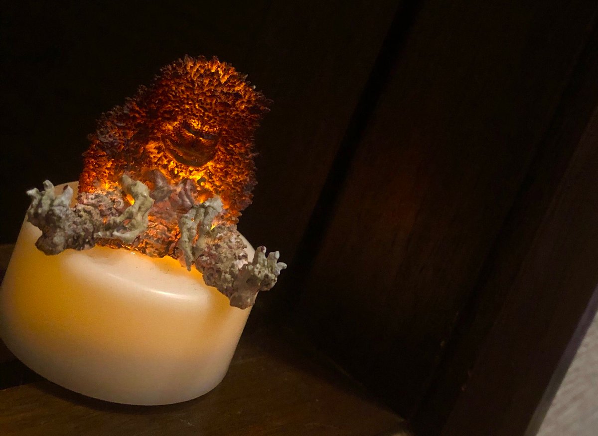 藤*樹様 【塗装済】海洋堂 デジタルガレージキット ガラモン 大山竜 原型 藤*樹様 【塗装済】海洋堂 デジタルガレージキット ガラモン 大山竜