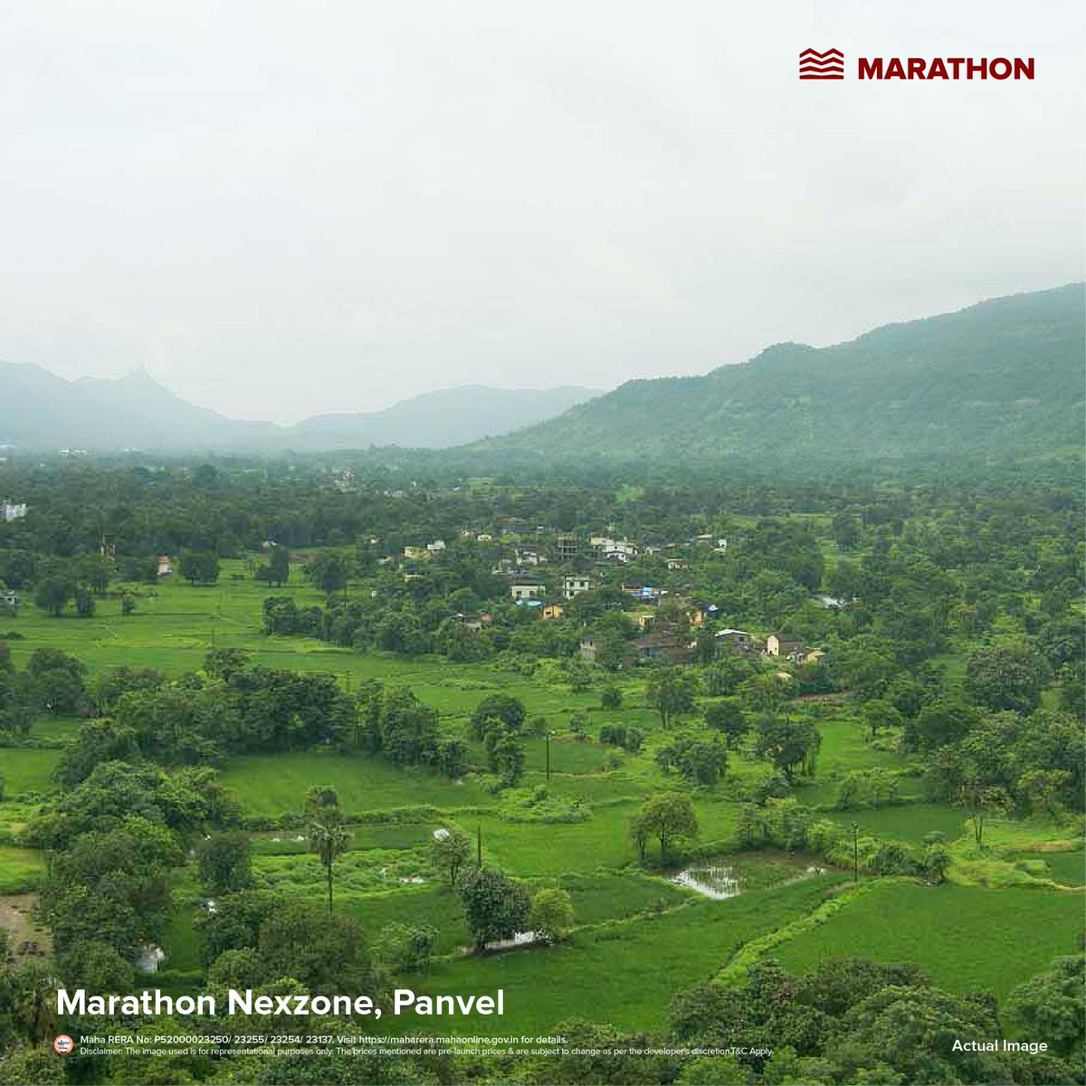 Marathon Realty tweet media