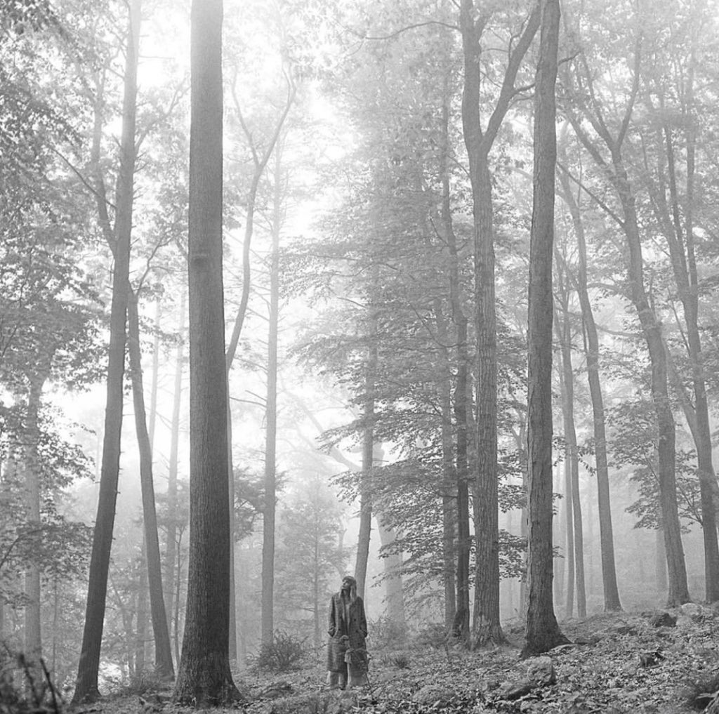 UpdatesSMG's tweet image. Selenators and Swifties should do a streaming party together of Rare Deluxe and Folklore