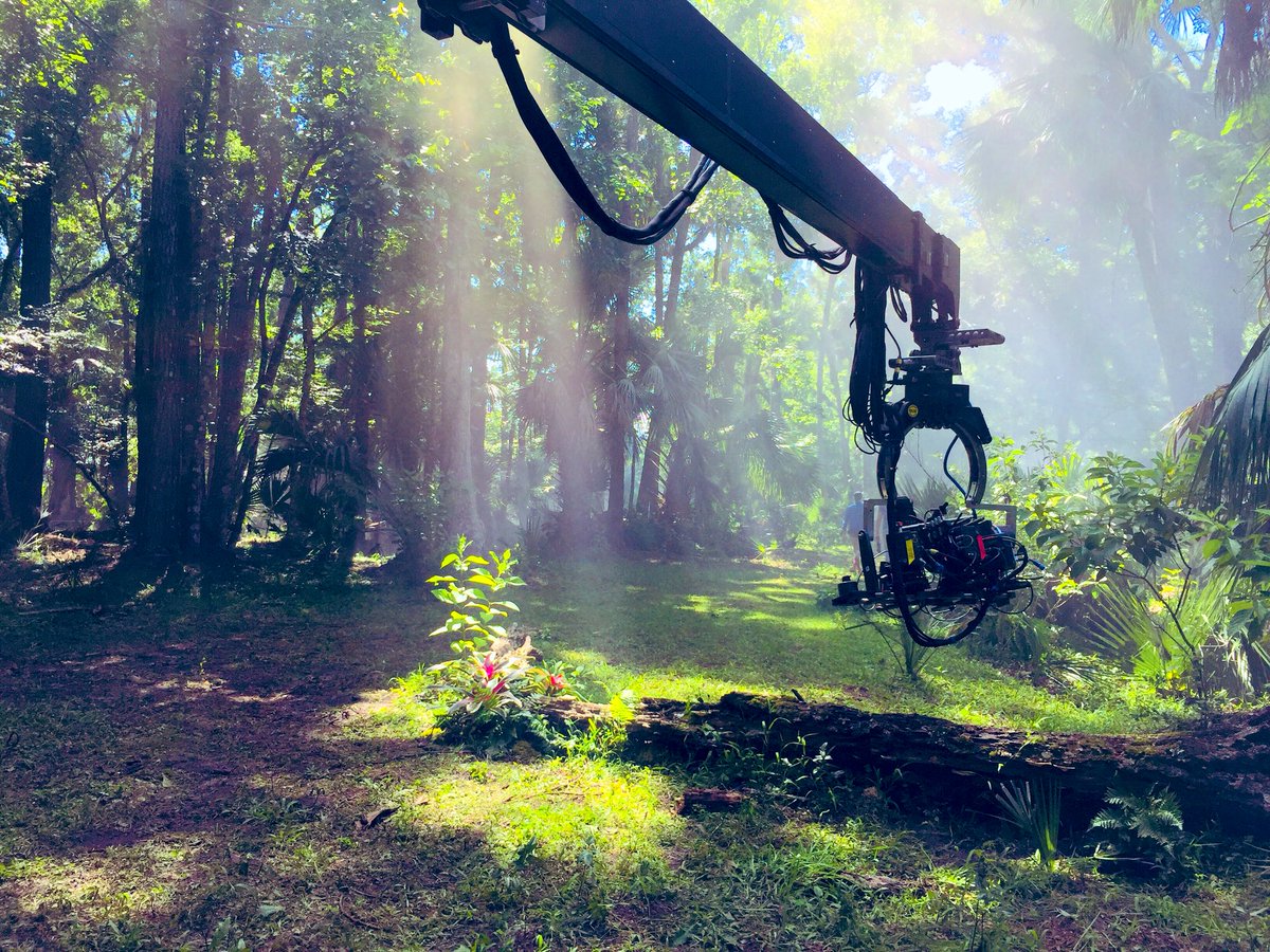 StevenHallDOP's tweet photo. A huge amount of effort went into the gorilla shots in Ivan: including a 1000yds of lay flat smoke tube & a 12kw Molebeam for the hero sunlight shaft. This a set in the swamps as we await the star to come to set. Coming to Disney+ August 14th #2ndUnitDOP https://t.co/vHC0gwahZD https://t.co/FywW6hJvAK