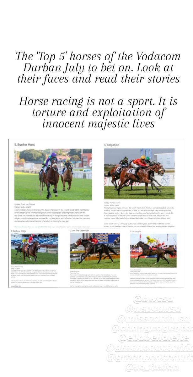 ThashneeMoodley's tweet photo. The 'Top 5' horses of the Vodacom Durban July to bet on. Look at their faces and read their stories

Horse racing is not a sport. It is torture and exploitation of innocent majestic lives

#YouBetTheyDie
#HorsesDyingToRun
#HorsesDie4GamblingProfits https://t.co/lz7us9PESt