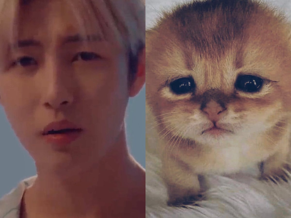 renjun_cat's tweet photo. #RENJUN #런쥔 #황런쥔 #仁俊 #黄仁俊 #ロンジュン #renjun_cat #cat #猫耳男子 #Renjun_Fools_Cover #RenjunFoolsCover #RENJUNFOOLS
happy 1M viewers ! https://t.co/KnsXYYZOYQ