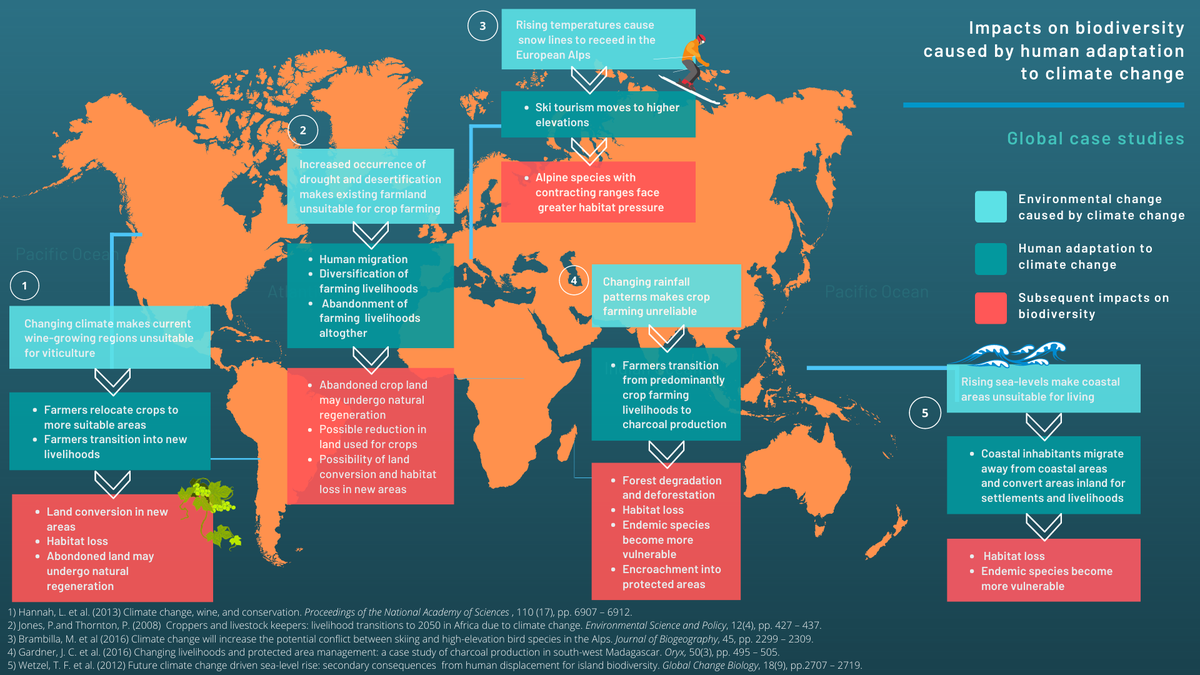 Ceire_Booth's tweet photo. 3/6 Globally, as different forms of human adaptation are scaled up in coming decades to cope with 🌞🆘 are we paying enough attention to potential costs and benefits to biodiversity? #biodiversitywho?

E.g.

#DICECON20 #ValueNat https://t.co/ChfJCBTniJ
