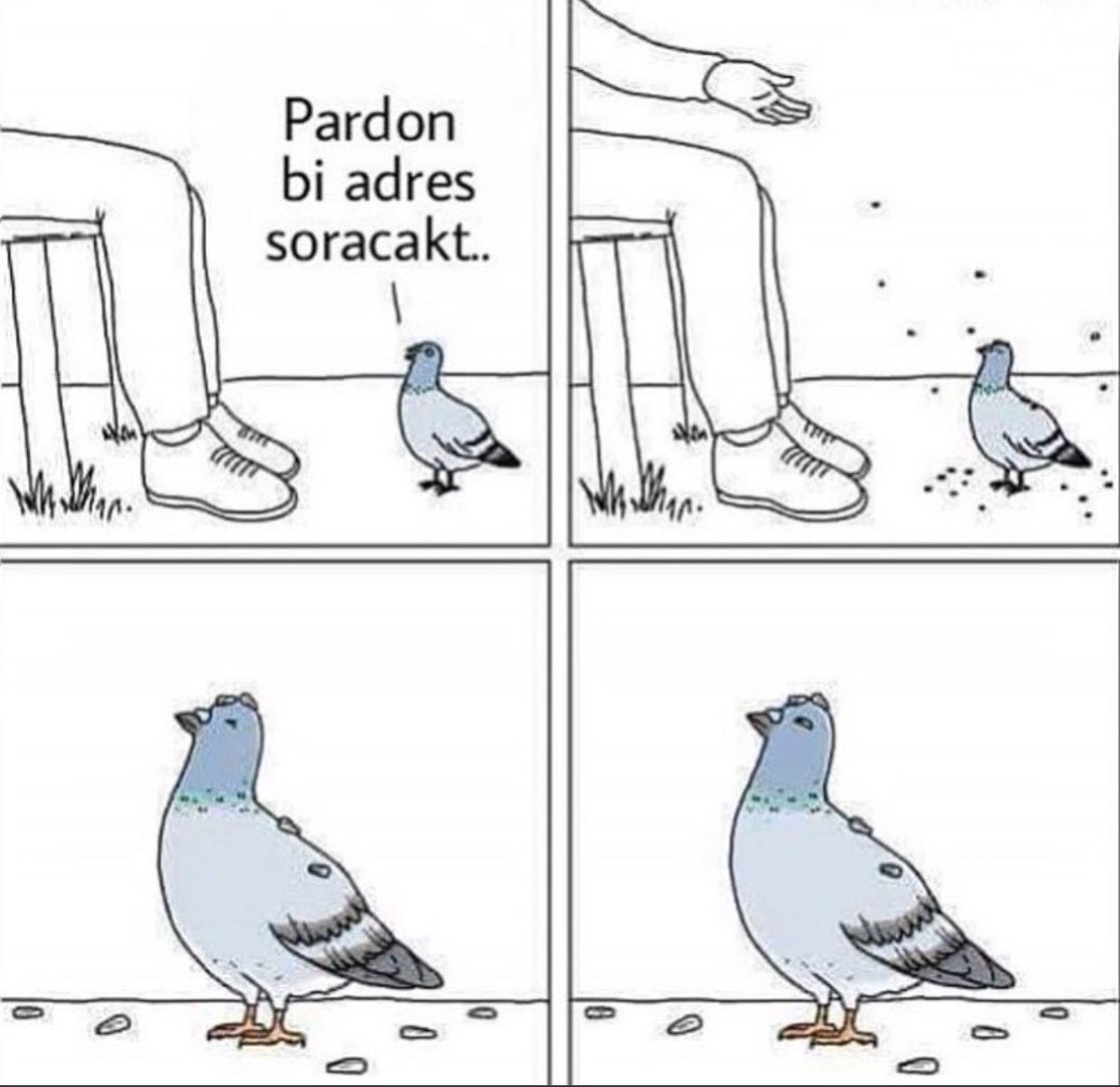 Özge (@ozgrdgno) on Twitter photo 