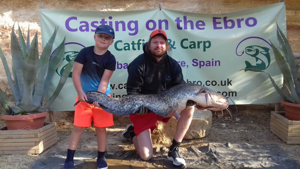castingonebro's tweet photo. Drew and his son are with us just for the day while o holiday in Salou and straight away they they were into one 
#castingontheebro #rivercarp #catfish #ribarojadebre #riverebro #wildcarp #spain #gardenswims https://t.co/CzOYdHT9bW