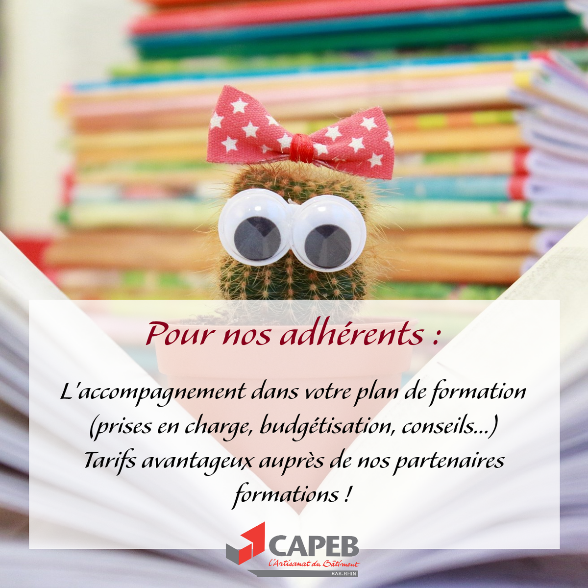 Une question sur la formation de vos salariés ou pour vous même ?
La CAPEB 67 accompagne ses adhérents !

Une question sur le #RGE ? FEEBAT RENOVE : la formation pour devenir RGE !

#formation #btp #cpf