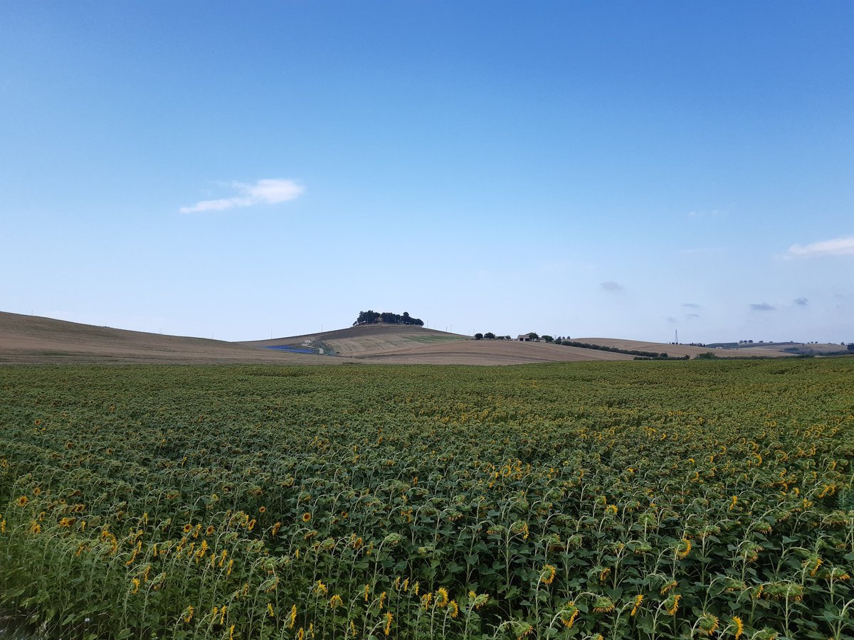 ilfusa's tweet photo. All'improvviso, l'#Abruzzo #SanSalvo #Cupello #Vasto #Italy
#unavitainviaggio #wedontbelonganywhere https://t.co/ufl0OaCJVq