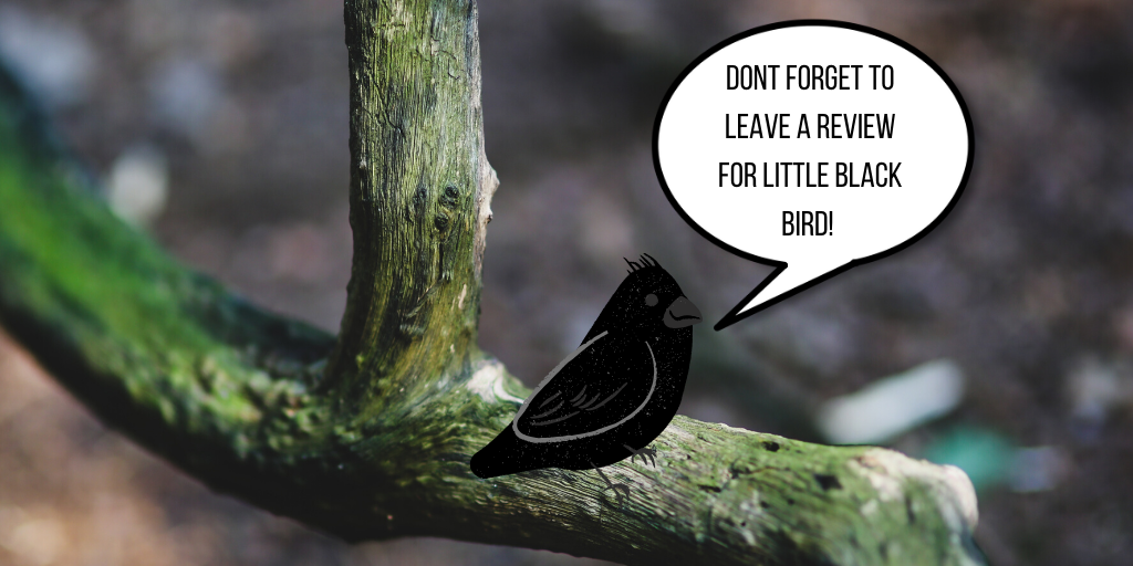 GurtDogPress's tweet photo. Reviews are so important so don't forgot to post one for Little Black Bird. We love reading them all! 😊
.
.
#lgbtpublisher #queerpublisher #diversepublisher https://t.co/vQLGJX2qX9