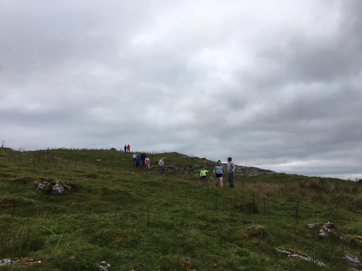 CuilcaghR's tweet photo. Few photos of our stroll around the fascinating Cavan Burren Park

@cavanburrenpark 
@CuilcaghR https://t.co/HJkr8uL33x