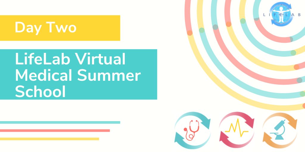 LifelabSoton's tweet photo. Great first day at the #LifeLabvirtualmedschool. More than 60 students from across the world taking part. Looking forward to another packed day including admissions advice with @sallycurtis25 clinical skills, virtual escape room and inspo from @unisouthampton med students. Enjoy! https://t.co/ePgK2F9eKh