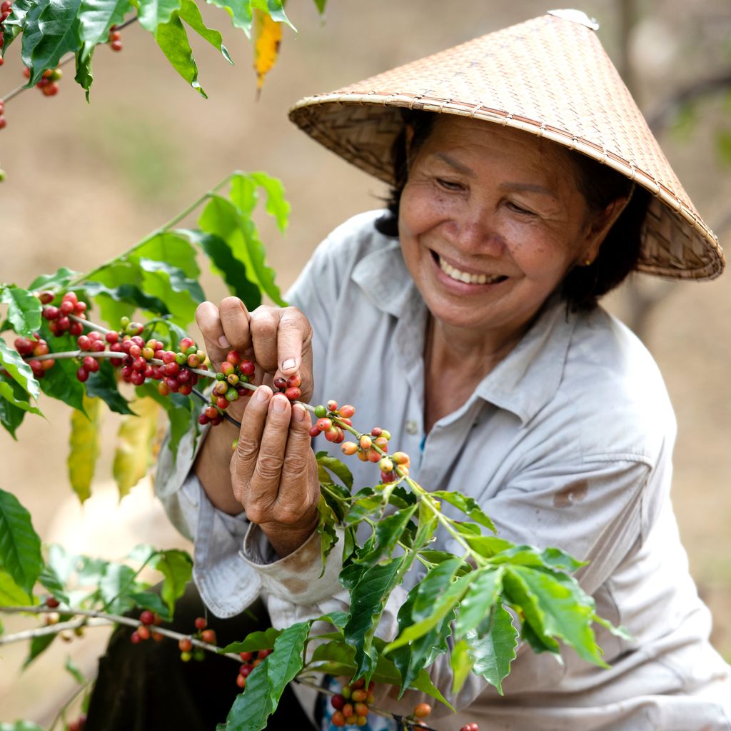 FAOKnowledge's tweet photo. We are looking for successful &amp; easy-to-replicate practices &amp; technologies that can support smallholder farmers and producers to overcome their most pressing challenges.

🗓️ Deadline👉 30 July 2020
📌 Submit here👉 https://t.co/JF448AE7mh

➕ info👉 https://t.co/qNkbadIq23 https://t.co/uT3QwMow7b