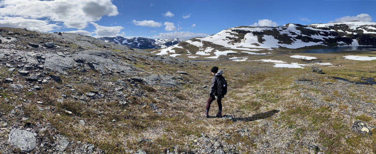 PolarResearcher's tweet photo. It’s fantastic working in Latnjajaure, no matter the weather. Despite what the photos show, there is a bad weather bias to what is captured during field work! #ITEX #phenology #browning #vegetation https://t.co/z6X1F68r05
