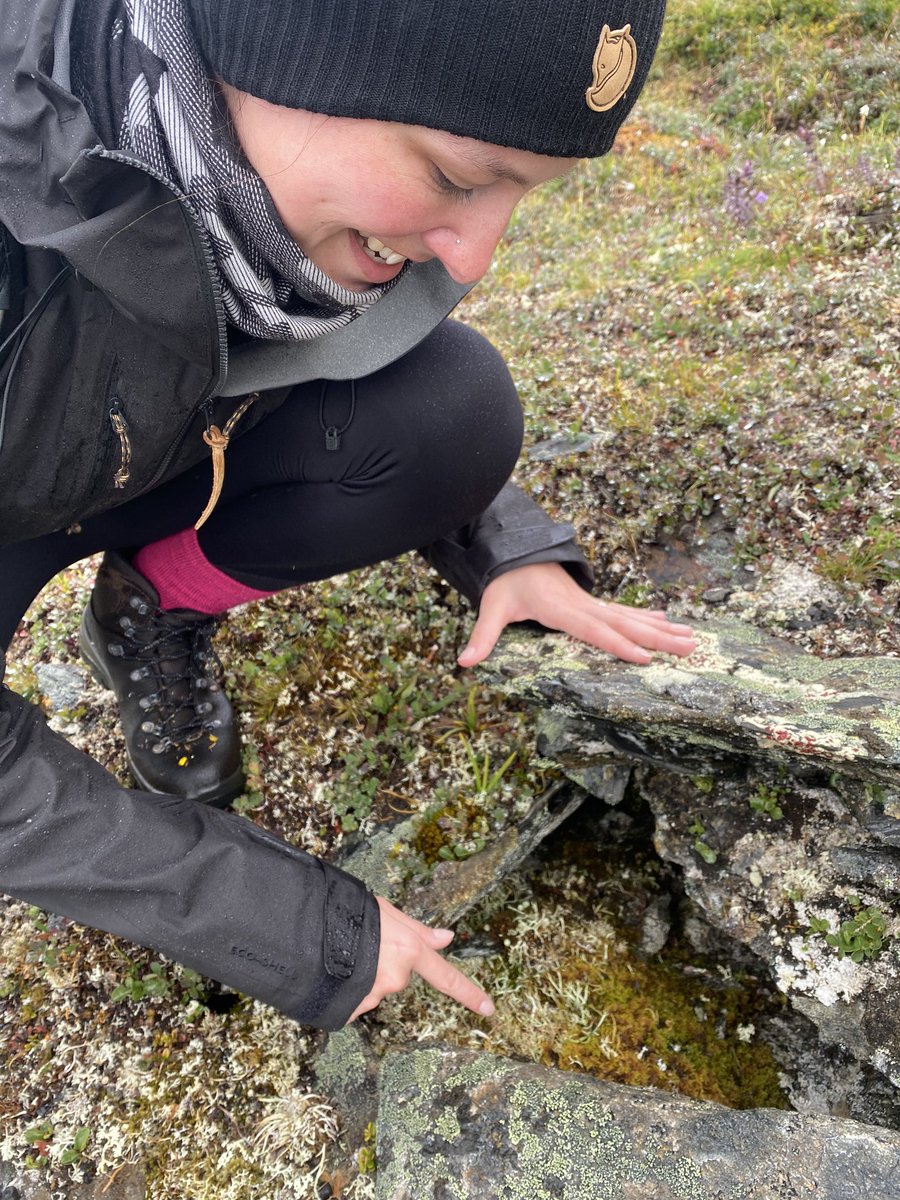 PolarResearcher's tweet photo. It’s fantastic working in Latnjajaure, no matter the weather. Despite what the photos show, there is a bad weather bias to what is captured during field work! #ITEX #phenology #browning #vegetation https://t.co/z6X1F68r05