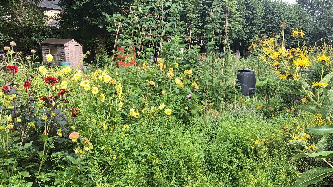 Orig_Organics's tweet photo. Spot the composter! 👀

Where do you like to keep yours?

https://t.co/nANwWIKpn3

#gardening #gardenlife #gardensofinsta #zerowaste #growyourown #growyourownfood #zerowasteuk #zerowastehome #goingzerowaste #ourplanetourhome #zerowastecollective #allotment https://t.co/3mQwQykaJu