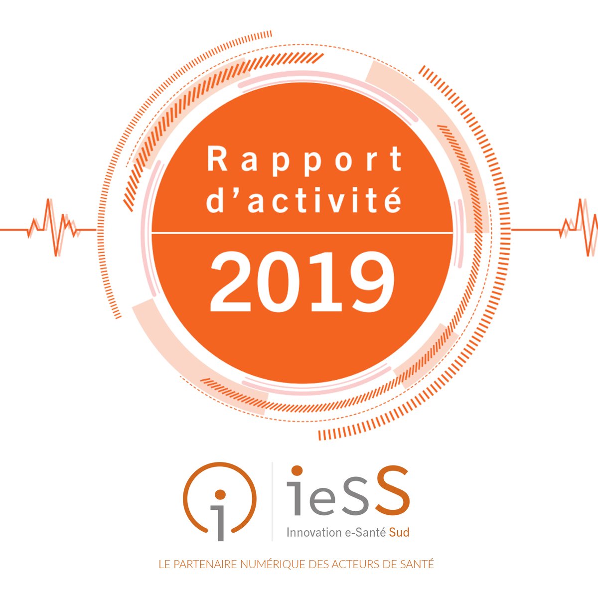 Notre rapport d'activité 2019 est disponible en accès libre sur notre site, c'est par ici 👉 ies-sud.fr/wp-content/upl…