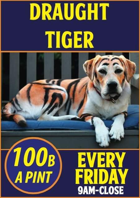 StumbleInnBkk's tweet photo. 100b for a big glass of growling juice. All day, all night!
#TigerFriday #BeerOClock https://t.co/xCSjoDnha1