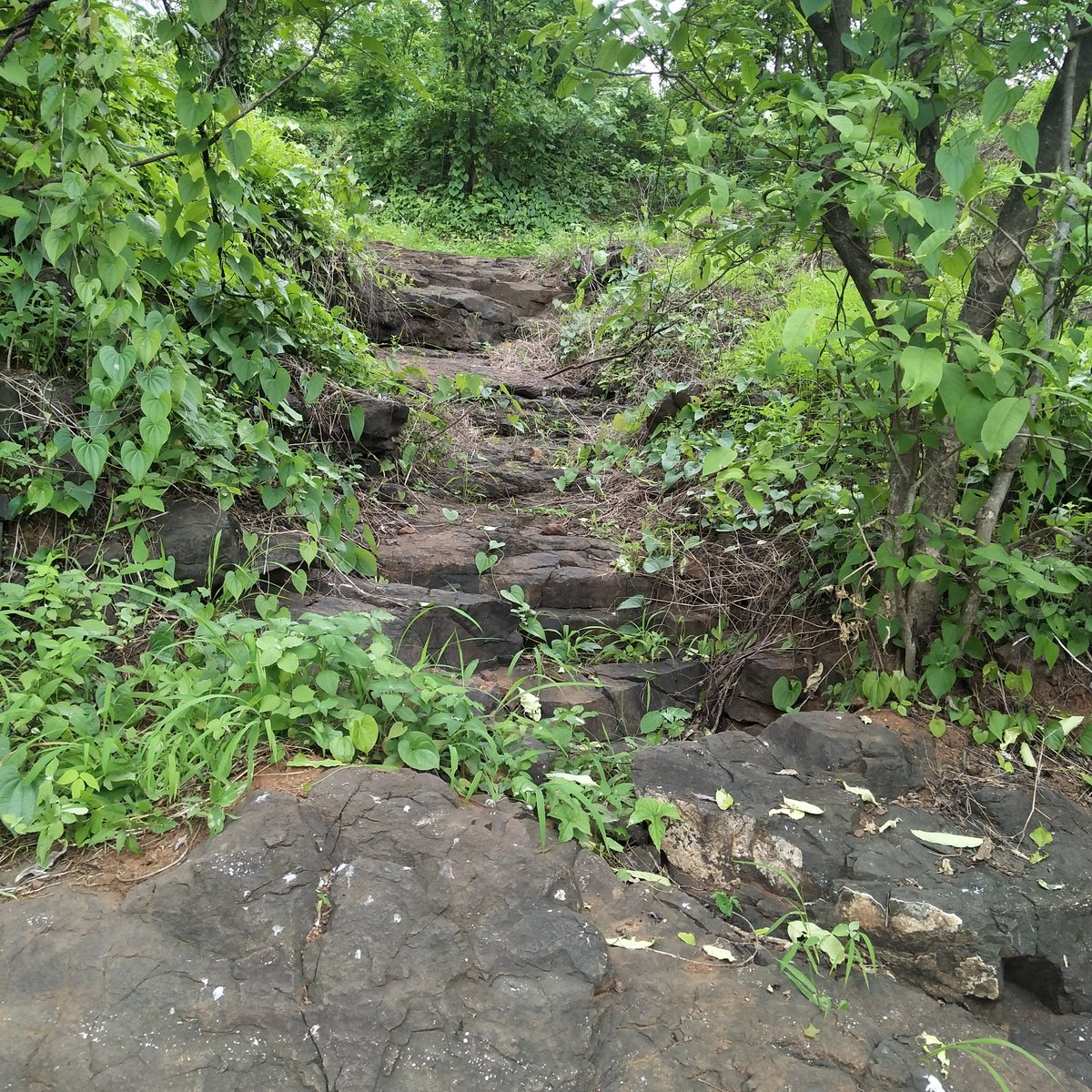 Chaudhari Swati tweet media