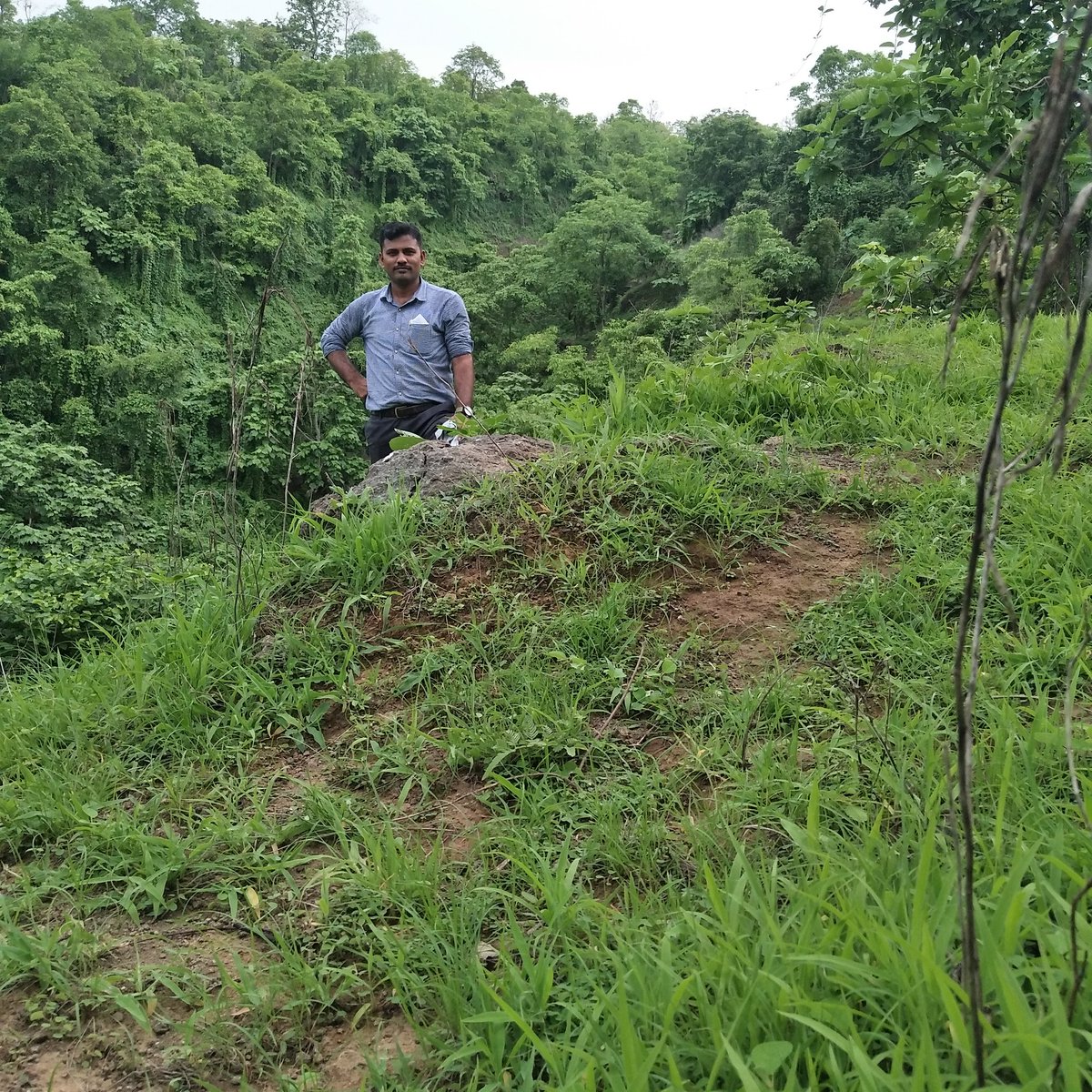 Chaudhari Swati tweet media