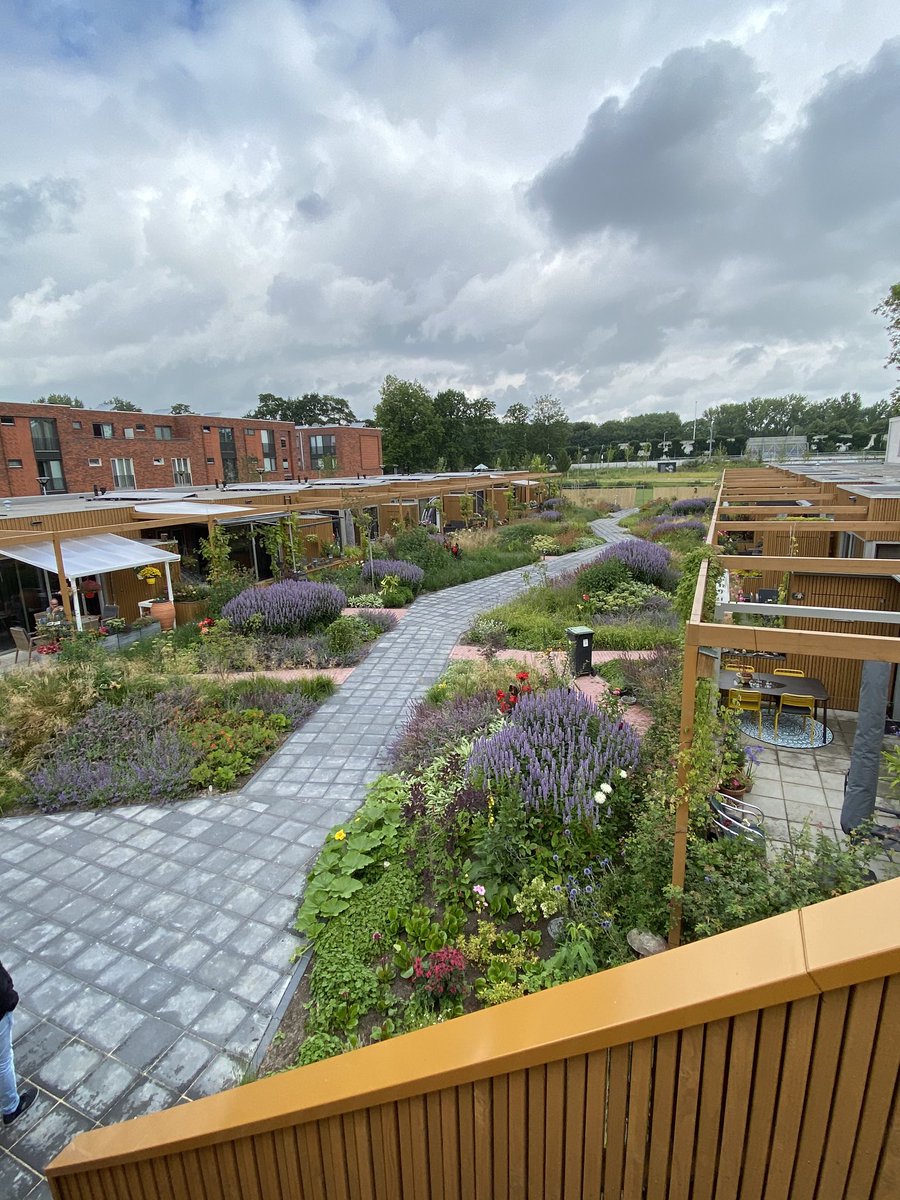 JPNeven's tweet photo. Bezoek met collega Van den Hurk aan Park Entree. 89 gelijkvloerse woningen en een lounge voor actieve senioren in Schiedam. De inrichting is in cocreatie met bewoners ontstaan. Dank aan Alex Sievers die met veel passie een rondleiding gaf. https://t.co/1mFp7hwO0T