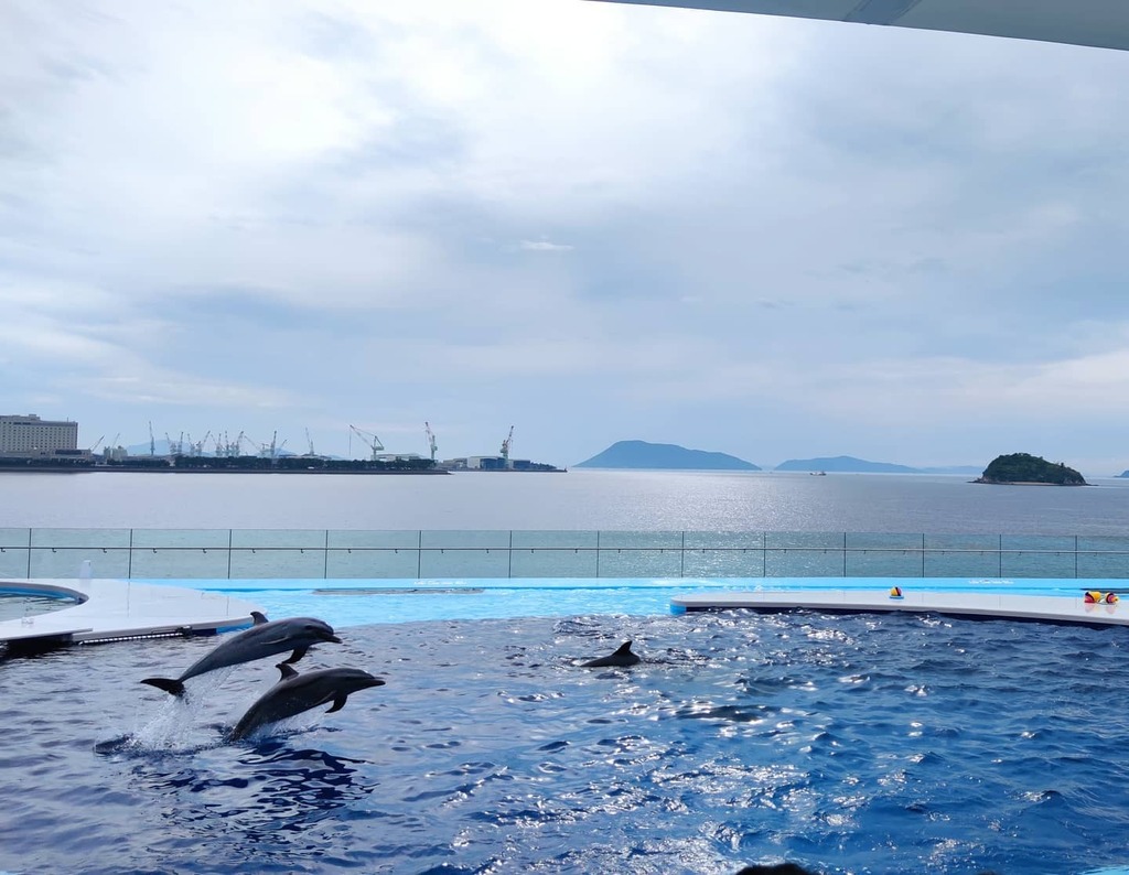 chfrbe's tweet photo. 四国水族館
Shikoku Aquarium https://t.co/7ye5taRrUe https://t.co/hmBoeuBmWZ