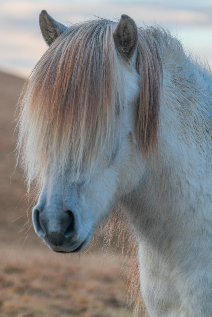 AnuradhaU's tweet image. Don&apos;t let this be the way you visualize future #telco infra. #softwarization, #virtualization &amp;amp; #cloudifcation don&apos;t mean we go from visible to invisible; jsut because SDNs replace HDNs and VNFs/CNFs replace PNFs. Btw, clouds can still be seen. :-) Look up! 
#cloudnative #Virtual