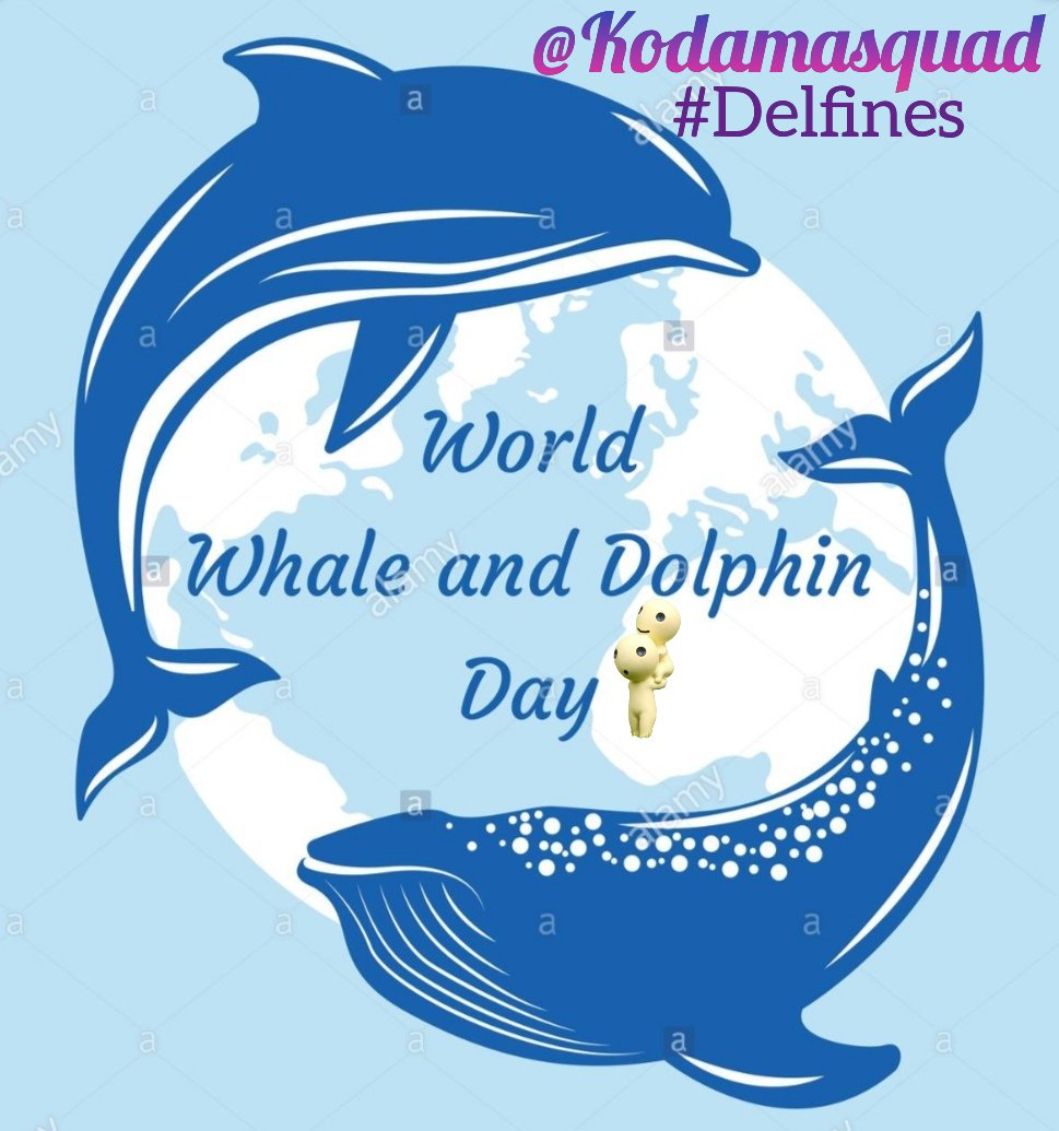 Kodamasquad's tweet photo. 🐬Se comunican con 700 sonidos diferentes
🐬Su piel se renueva cada 2 horas
🐬Desconectan uno mientras duermen 
🐬Realizan pensamientos lógicos
⚠️En cautividad sufren por 
🔻Falta de espacio
🔻Alimentación 
🔻Su esperanza de vida: 20 vs. 50 años
🔻Falta de socialización https://t.co/hiHF66ynd9
