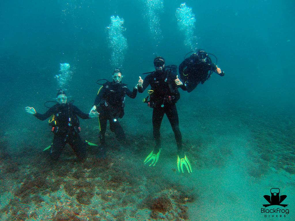 BlackFrogDivers's tweet photo. Así disfruta un grupo de amigos bajo el agua. Después de tanto estar en casa, disfruta de la naturaleza y comparte con tu quieritos una experiencia unica como el buceo.
#divenerja #divewithfriends #centrodebuceomalaga #padi5stardivecenter #divecentretorrox #scubadiving https://t.co/PZwQmM4rrA