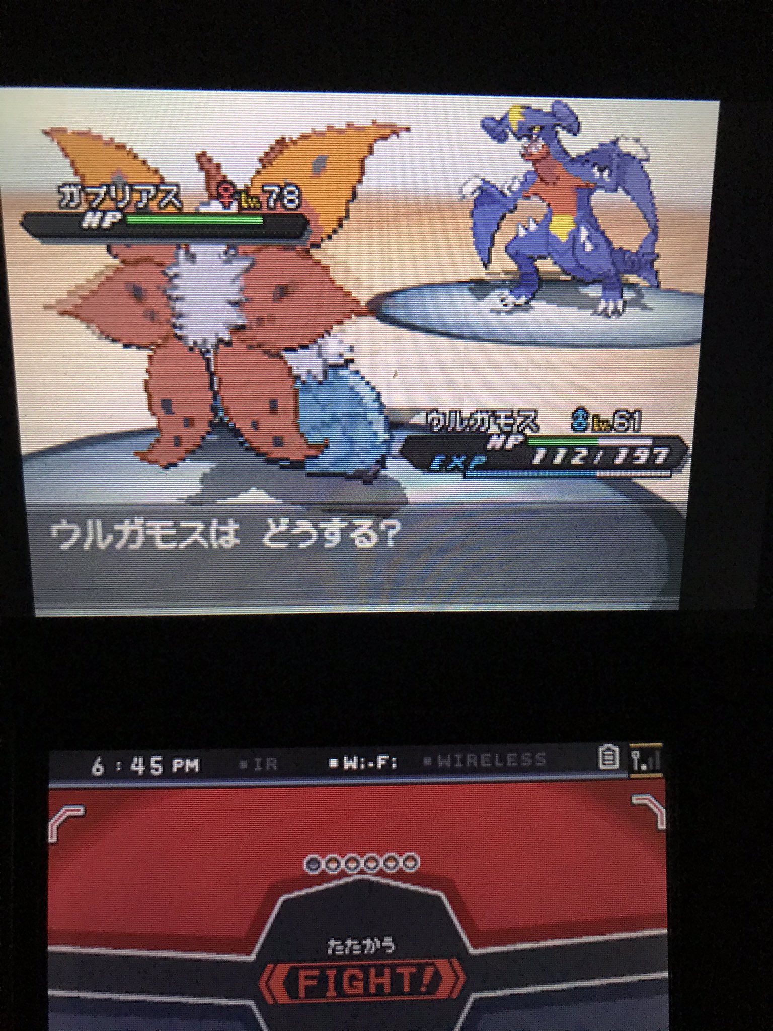 ゆたえる ガブリアスレベル78は草はえる まぁ今のウルガモスはミカルゲ戦の時ちょうのまい 6回してるから大丈夫だろw T Co Dqcx1y0hj5 Twitter