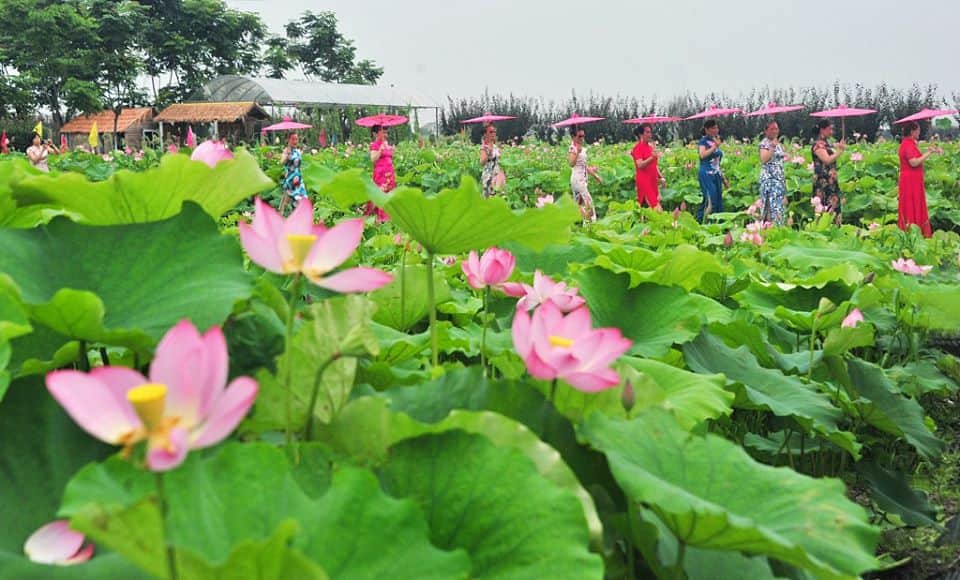 گر تن بدهی دل ندهی کار خراب است
چون خوردن نوشابه که در جام شراب است
گر دل بدهی تن ندهی باز خراب است
این بار نه جام است و نه نوشابه سراب است
اینجا به تو از عشق و وفا هیچ نگویند
چون دغدغه مردم این شهر حجاب است
تن را بدهی دل ندهی فرق ندارد
یک آیه بخوانند گناه تو ثواب است