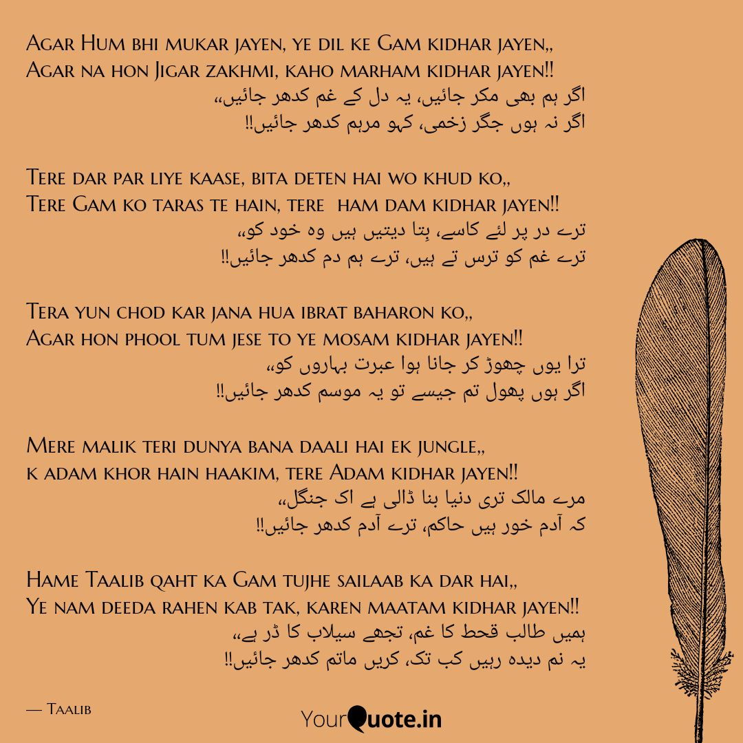 Ghazal - Kidhar Jayen

#taalib #taalib_poetry #poetry #raw_poetry #shayari #ghazal #urdu #urdu_poetry #taalibshouseofpoetry #statuspoetry #sadpoetry #lovepoetry