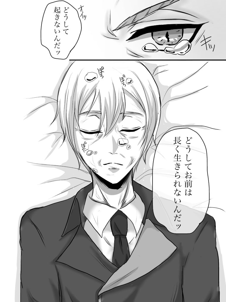 セベクは人間のハーフなのかなっていう疑問(耳とか年齢とか)と、マレウス様とリリアちゃんは見た目が変わらないのにセベクはゆっくり老けていくっていう妄想
※色々捏造
※死ネタ有り
⚡️⚔?(?不在) 
