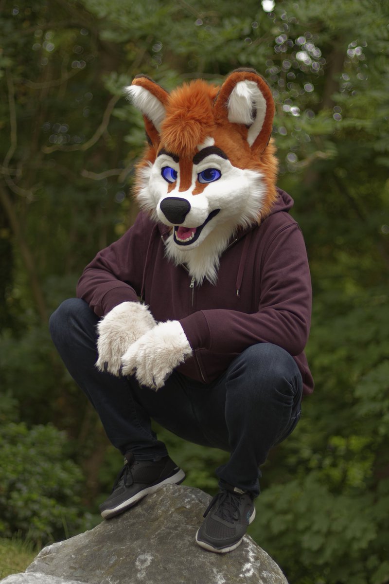 "No Floeke! Wuskies aren't supposed to perch!"

I'll perch whenever the fuck I want!

#FursuitFriday brought to you by
✂️: <a href="/TheKarelia/">TheKareliaFursuits 🔜 NFC</a> 
📷: <a href="/Cuddlemango/">Samourin Mangomeow</a>