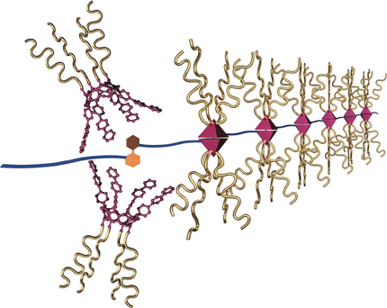 Self-Healing Supramolecular Materials Constructed by Copolymerization via Molecular Recognition of Cavitand-Based Coordination Capsules (Haino) onlinelibrary.wiley.com/doi/10.1002/an…
