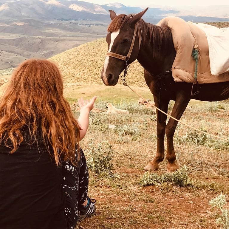 Pandemi sürecinde uzuun uzun yürümeyi özlemişiz. 🤗 Eeh, pasımızı attık diyelim 🌳😉

#trekkingturkey #mountains #nature #NaturePhotography
