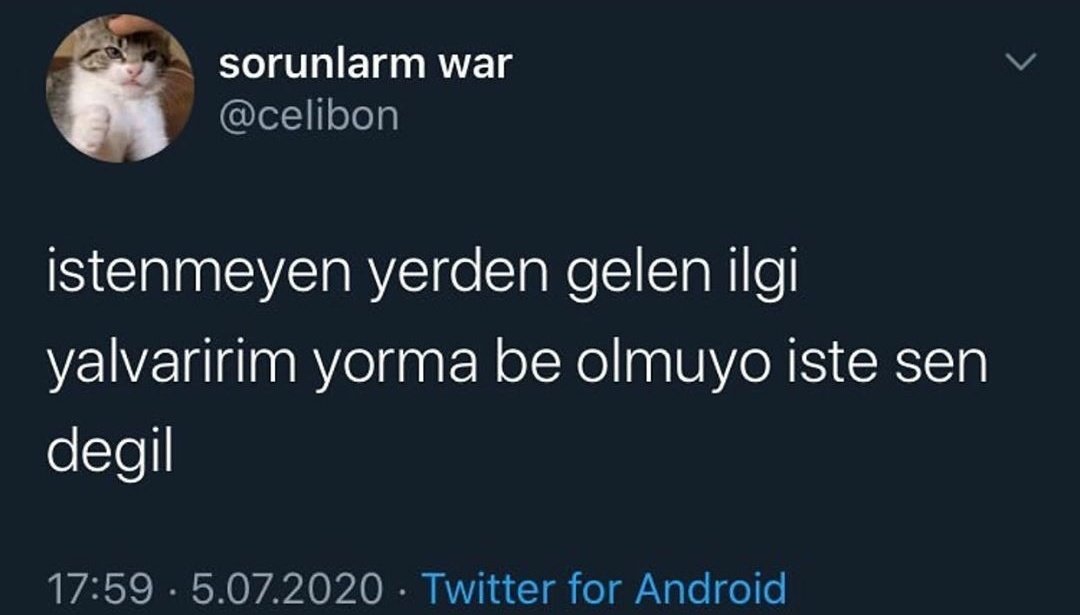 MOOD (@w3mood) on Twitter photo 