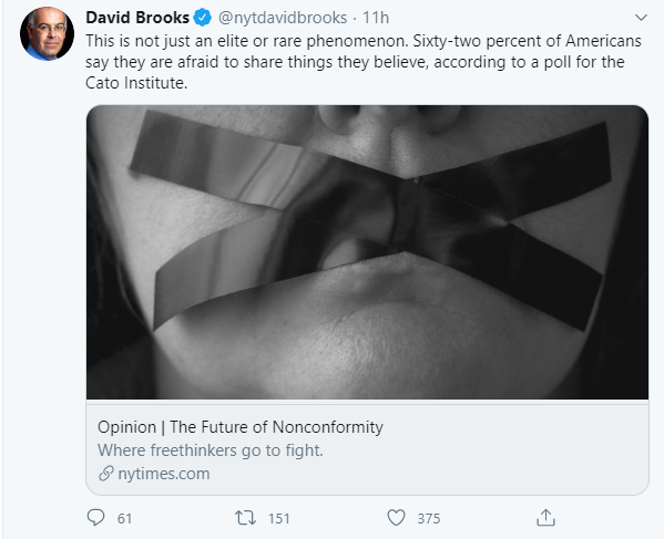 I'm 45 years old, and I can't think of a time when bigots of all kinds felt more emboldened to speak their minds. I've never been more aware of how many people in my country believe horrible, selfish, anti-human things.What is this America over which David Brooks obsesses?