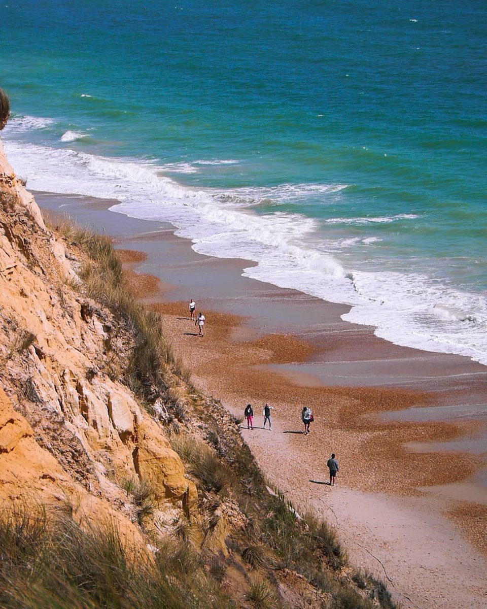 Love Bournemouth tweet media