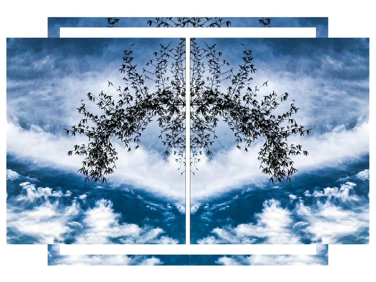 infamouskripa's tweet photo. ...flipped • Cirrus Clouds.

#photography #clouds #nature #pattern #manwithcamera https://t.co/owL5PEVLot