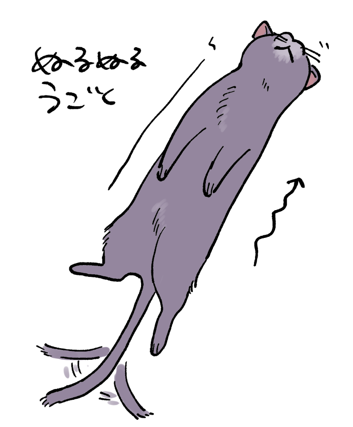 実家の猫 