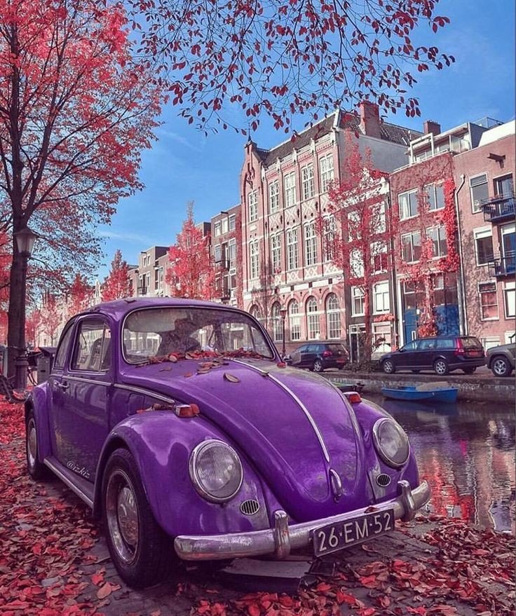 elionieves's tweet photo. @Ger_Rico10 Gracias hermanito 🍁🏖☀️
#FF_Special_VIP 
👉 @Ger_Rico10

#BuenosDias
#BuenViernes
#ViernesDeGanarSeguidores 
#GermanTeAyuda🎸
#SiguemeYTeSigoEnSegundos https://t.co/mTFerlsTXs