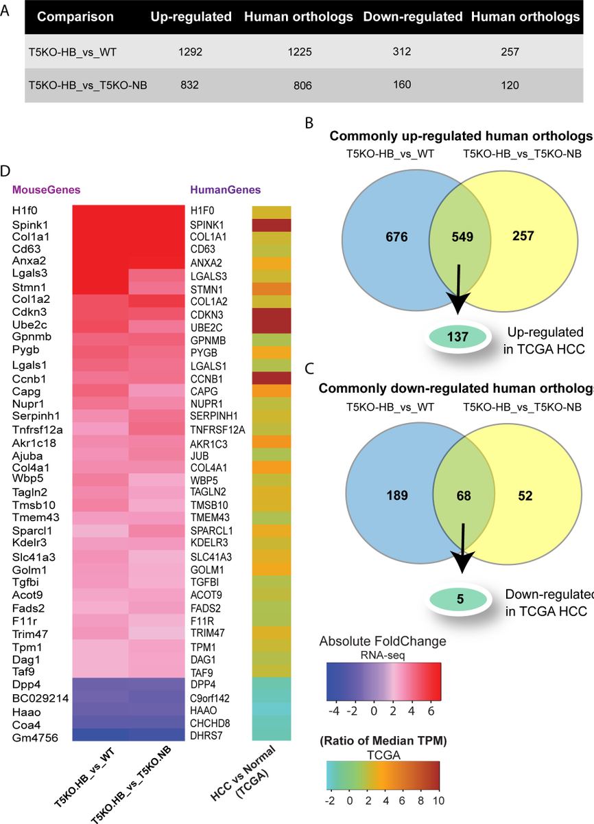 ensembl's tweet photo. #Genetic and #proteomics signatures show that #mouse model of inulin-induced hepatocellular #carcinoma is human relevant.
@darshan_sc @rgolonk @Varambally_S @PLOSONE #cancer
https://t.co/2JXBjdA2jN
#UsingEnsembl #UsingBioMart #BioMart https://t.co/I30PLvTQQF