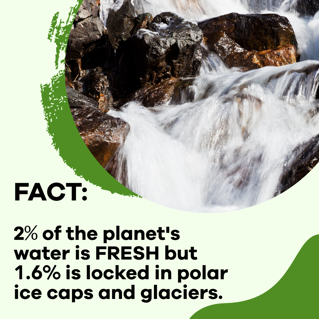 DeltaLeafLabs's tweet photo. It's crazy to think about this sometimes. That's why water conservation is so important, especially for growers. Let us help you reduce your water usage through Plant DNA Sex Testing!
#deltaleaf #knowconservegrow #waterconservation #growsmart #plantdnatesting https://t.co/lXlgaDqj2S