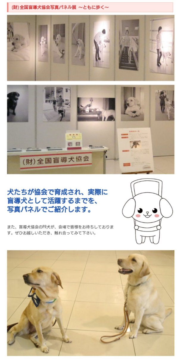 いばらき盲導犬協会 Hashtag On Twitter