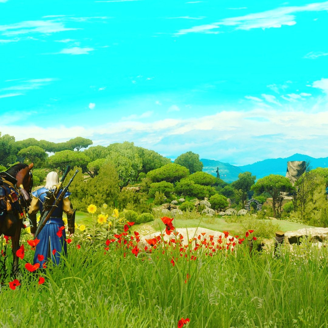 PressX18's tweet image. Os campos floridos de Toussaint esconde horrendas criaturas. A beleza tende a ser perigosa às vezes.

#gamescreen Blood and Wine.
#pressx #pressxgames #rick360 #thewitcher #games
Mais em rick360.live