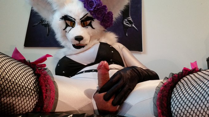 Fenfen like to pump her cock while her toy buzz in her ass ❤️❤️❤️  Enjoy this little gift for #FursuitsFriday<a href="/tag/furry"class="tags"><span>#furry</span></a><a href="/tag/nsfw"class="tags"><span>#nsfw</span></a><a href="/tag/fursuit"class="tags"><span>#fursuit</span></a><a href="/tag/fursuitsfriday"class="tags"><span>#fursuitsfriday</span></a><a href="/tag/furryfandom"class="tags"><span>#furryfandom</span></a>