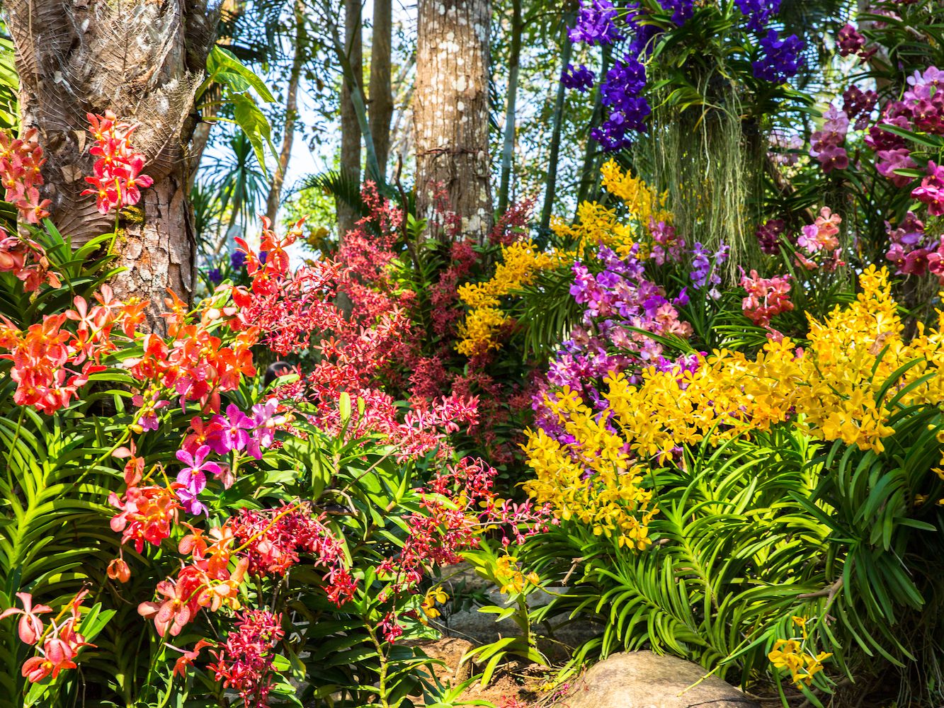 positie Eerder Peer Landscape Show on Twitter: "Amazingly colourful flower garden!  #FloralFriday #Flowers #Garden https://t.co/vENCto0ZOM" / Twitter
