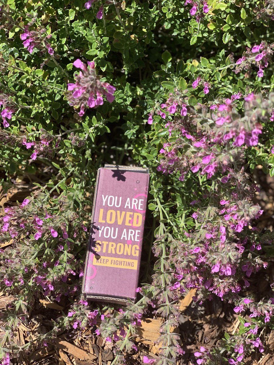 givlets's tweet photo. Words of encouragement and kindness are what the world needs right now. 💜 #Givlets #simplygive https://t.co/oqd8UwQrKo